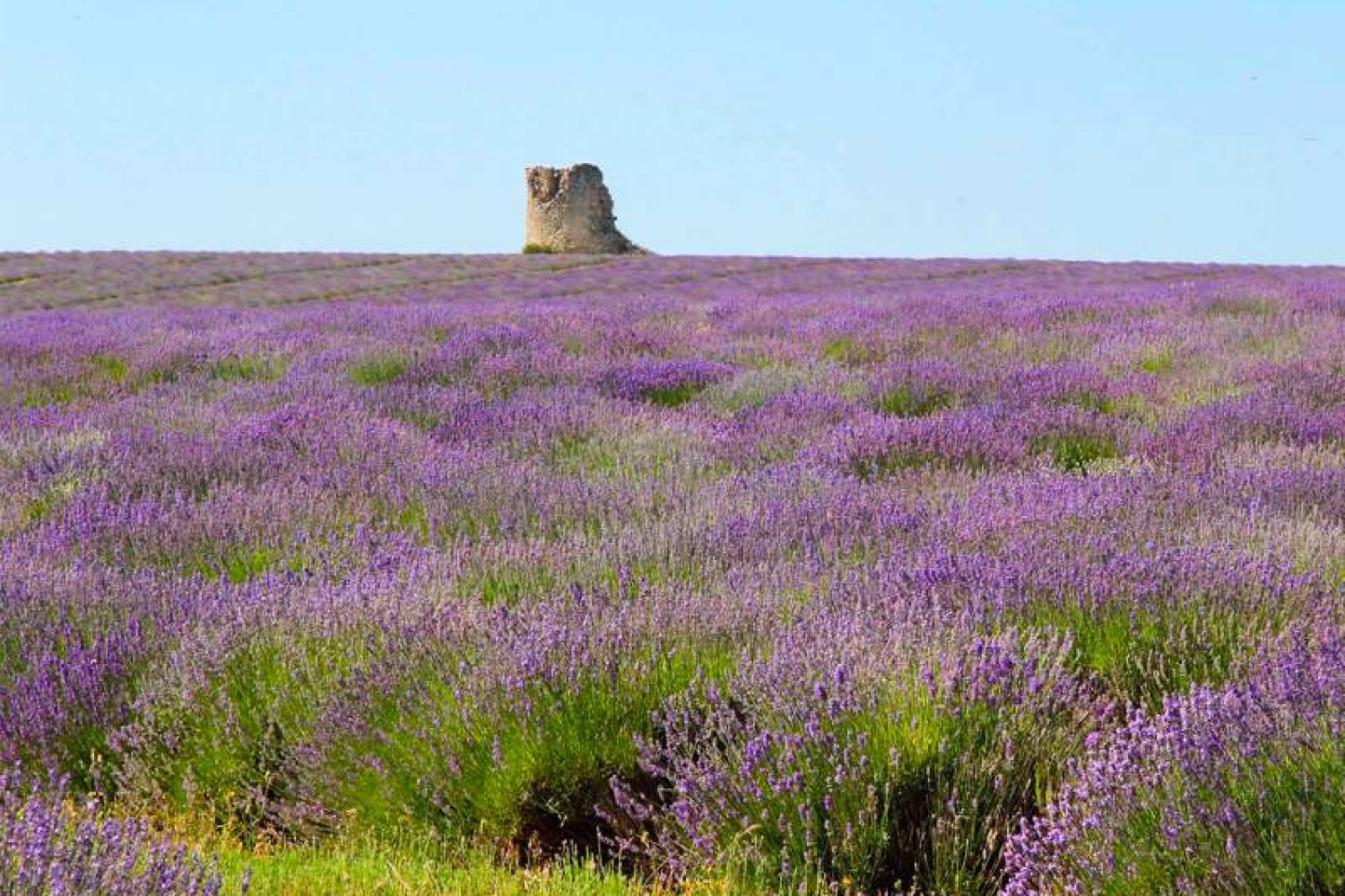 51200x900jpg_650c4724dffd97.05794592 51200x900jpg_650c4724dffd97.05794592