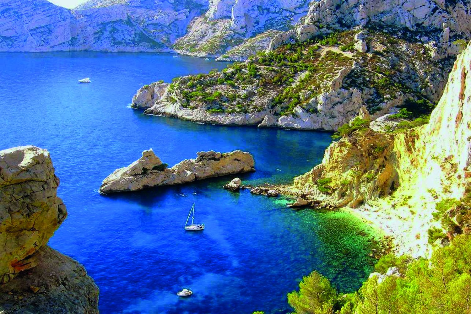 CASSIS CASSIS